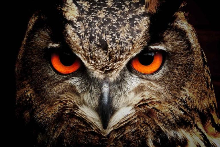 Uyku Bozukluğu (İnsomnia)